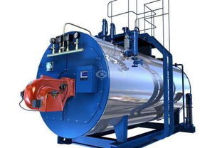 深山野果與蜂蜜的絕配，污水處理新思路